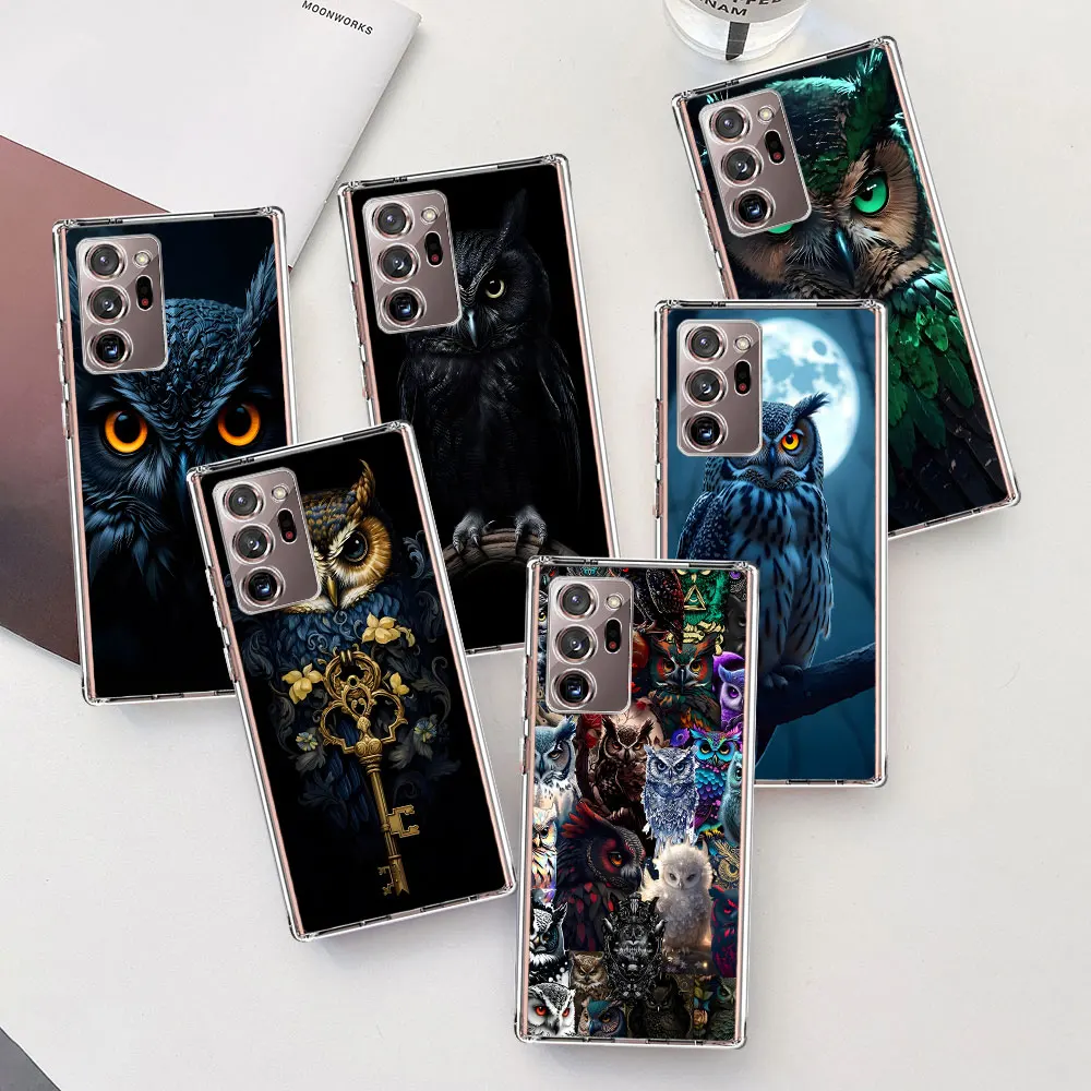 Animal Pet Cute Owl…