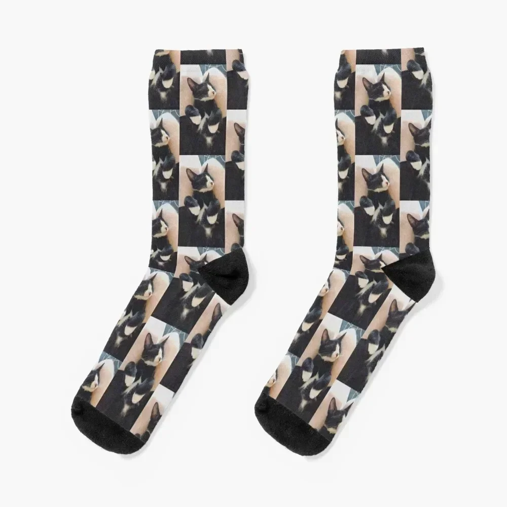 

Toby the Cat Socks funny gifts anti slip football soccer anti-slip tennis Socks Women's Men's