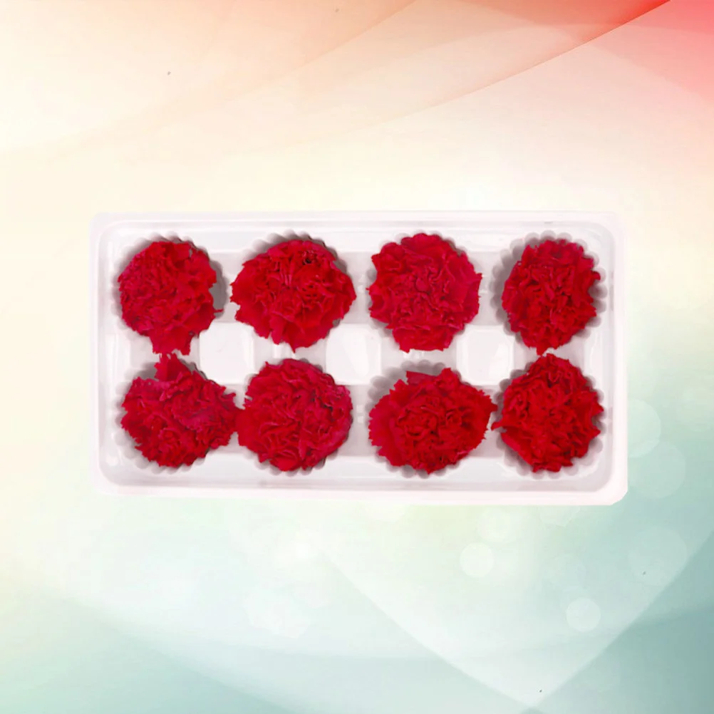 قرنفل أبدي زهرة مجففة طبيعية رومانسية للأبد هدايا تتفتح لعيد الحب وعيد الأم وعيد الميلاد #2