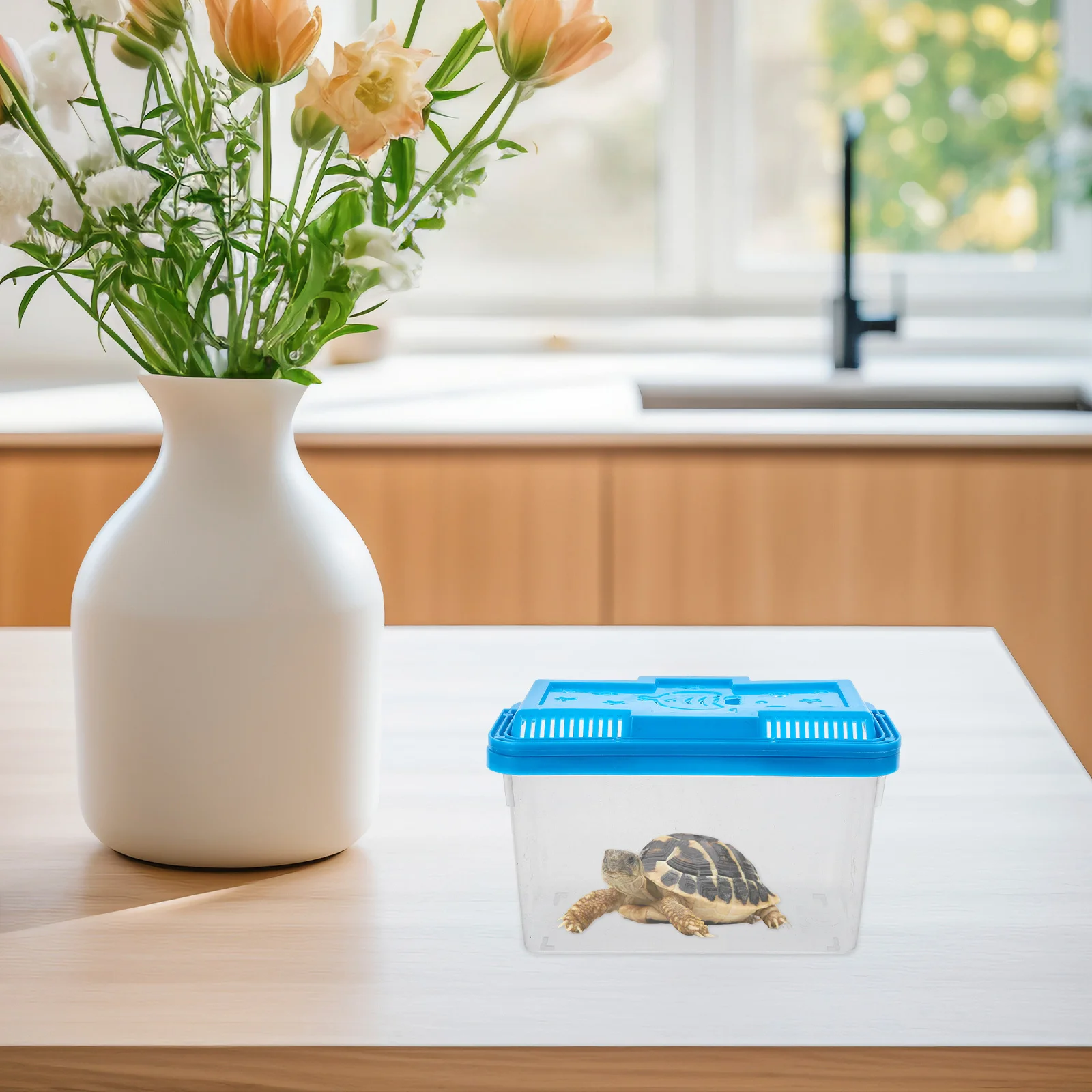 

Portable Transparent Plastic Aquarium Tank for Turtles Reptiles Hamsters Easy Monitoring Travel Vet Visits Multifunctional Sleek