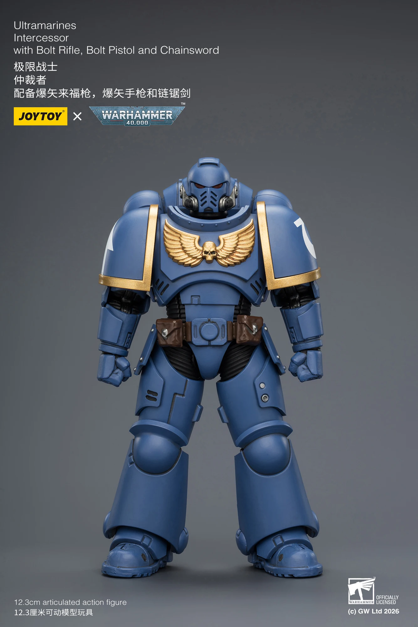 [AUF LAGER] JOYTOY Warhammer 40K 1/18 Actionfigur Intercessor mit Bolzenschrotflinte, Bolzenpistole und Kettenschwert 10 Stück Anime-Modell – Detail 1