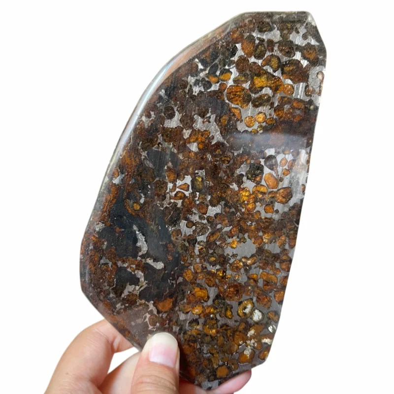 Sericho Pallasite Meteorite Irregular Polished Slice Natural Olivine Crystal Cosmic Mineral Specimen Space Rock TA811