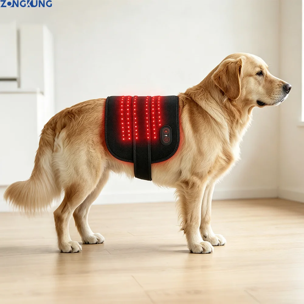Veterinary Use Red Light LED Therapy Physiotherapy Equipment for Pets Dog Cat Pain Relief Pain Reduce Rechargeable Easy To Clean