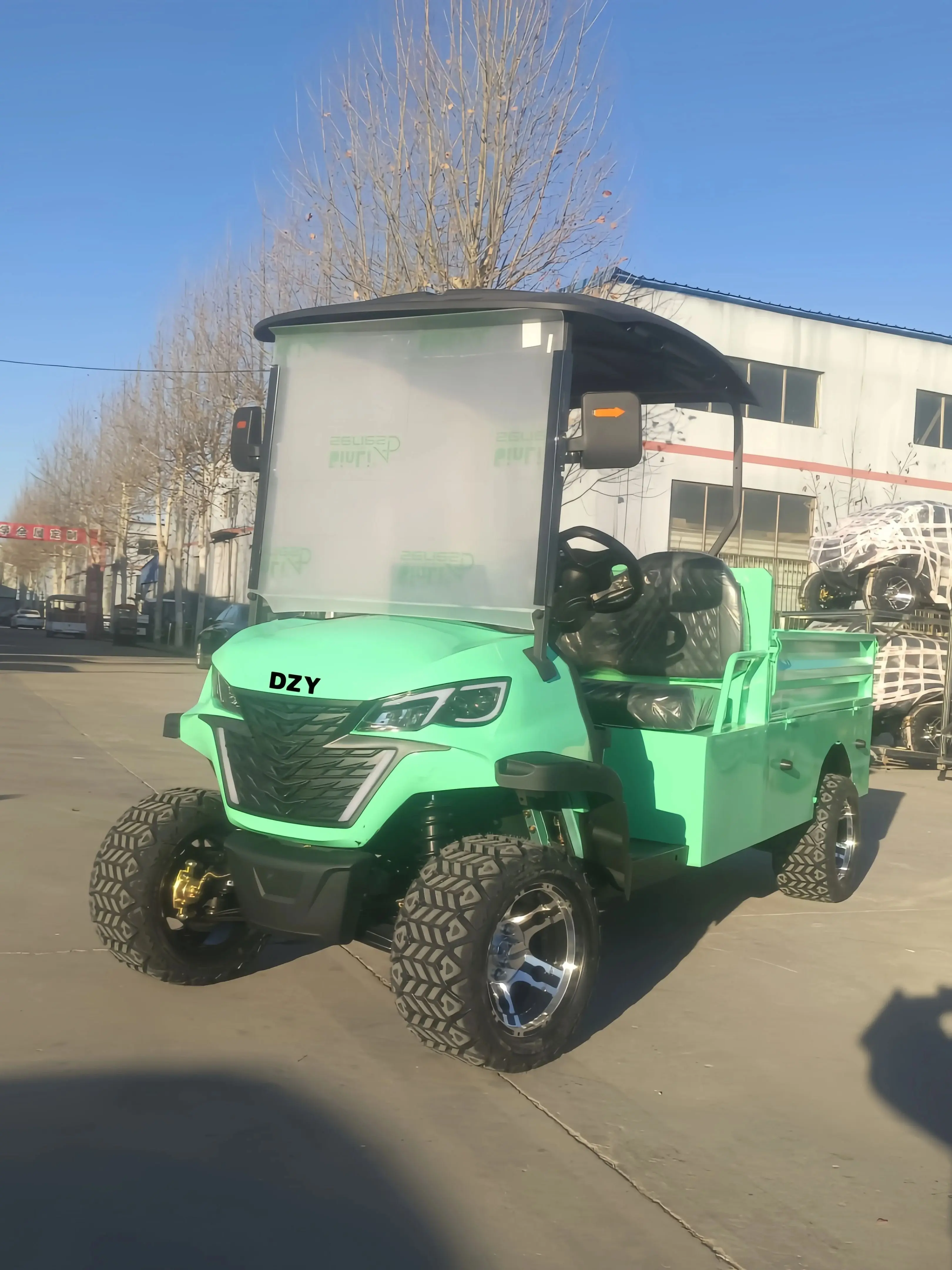4-wheel electric golf cart, 2-seater with shaking, farmer cart, hunting cart, farm cart, factory custom golf cartgolf buggy
