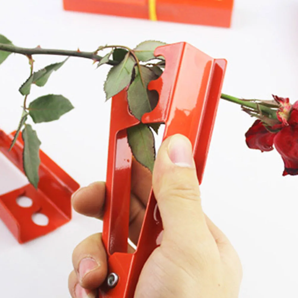 

Rose Thorn Pliers Unique Design Spring Action Handle for Container Light Gardening Remove Burrs Cut Thorn Stem Leaf Stripper