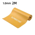 1.0mm   2M
