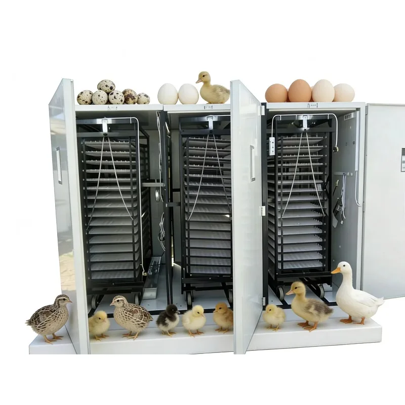 Industrial Automatic Egg Turner Customized Large Scale Farm Incubation 14784 Chicken 10584 Duck 37128 Quail Goose Eggs