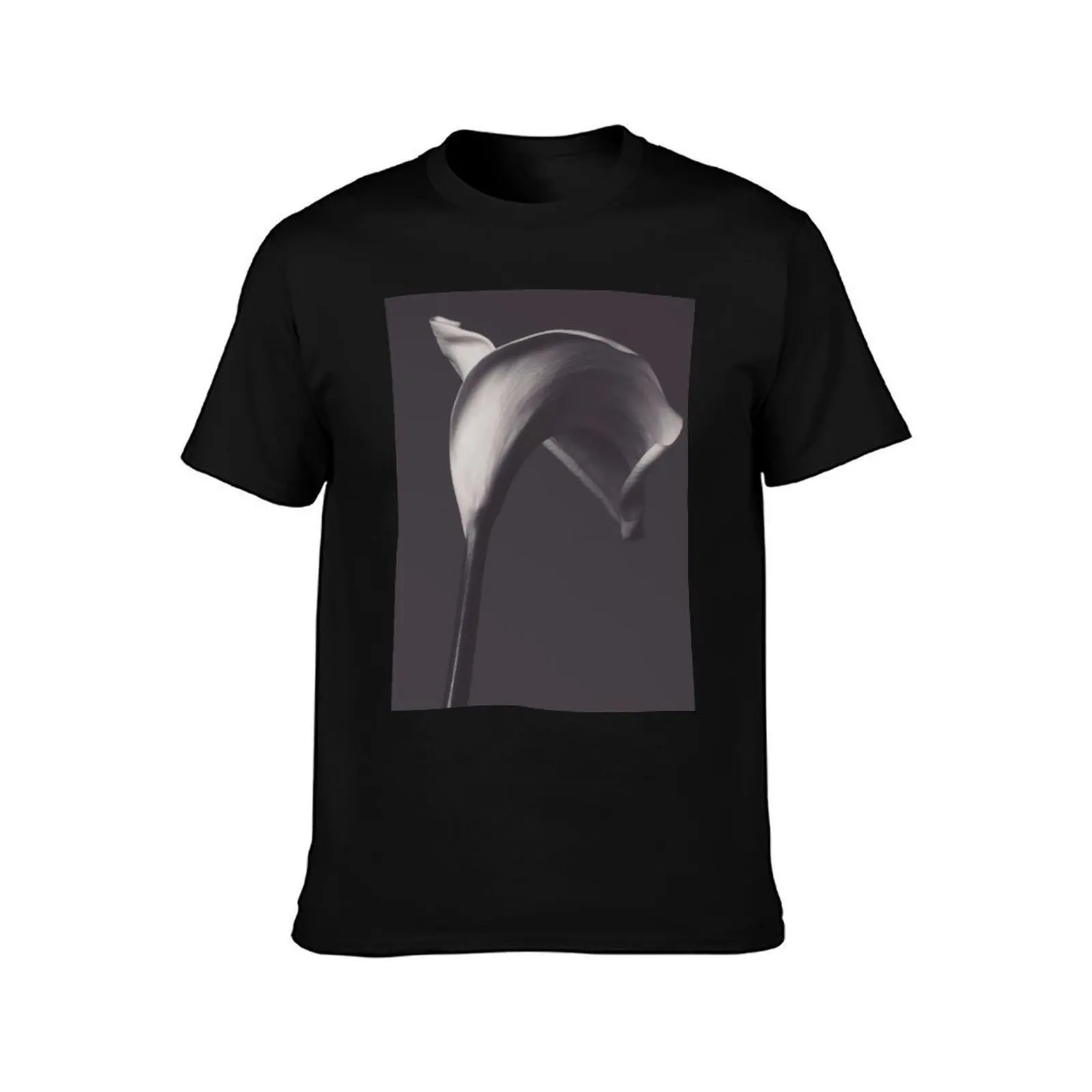 Classic calla lily photo, fine art, flowers photography, flower still life, wall decor, Robert Mapplethorpe style T-Shirt