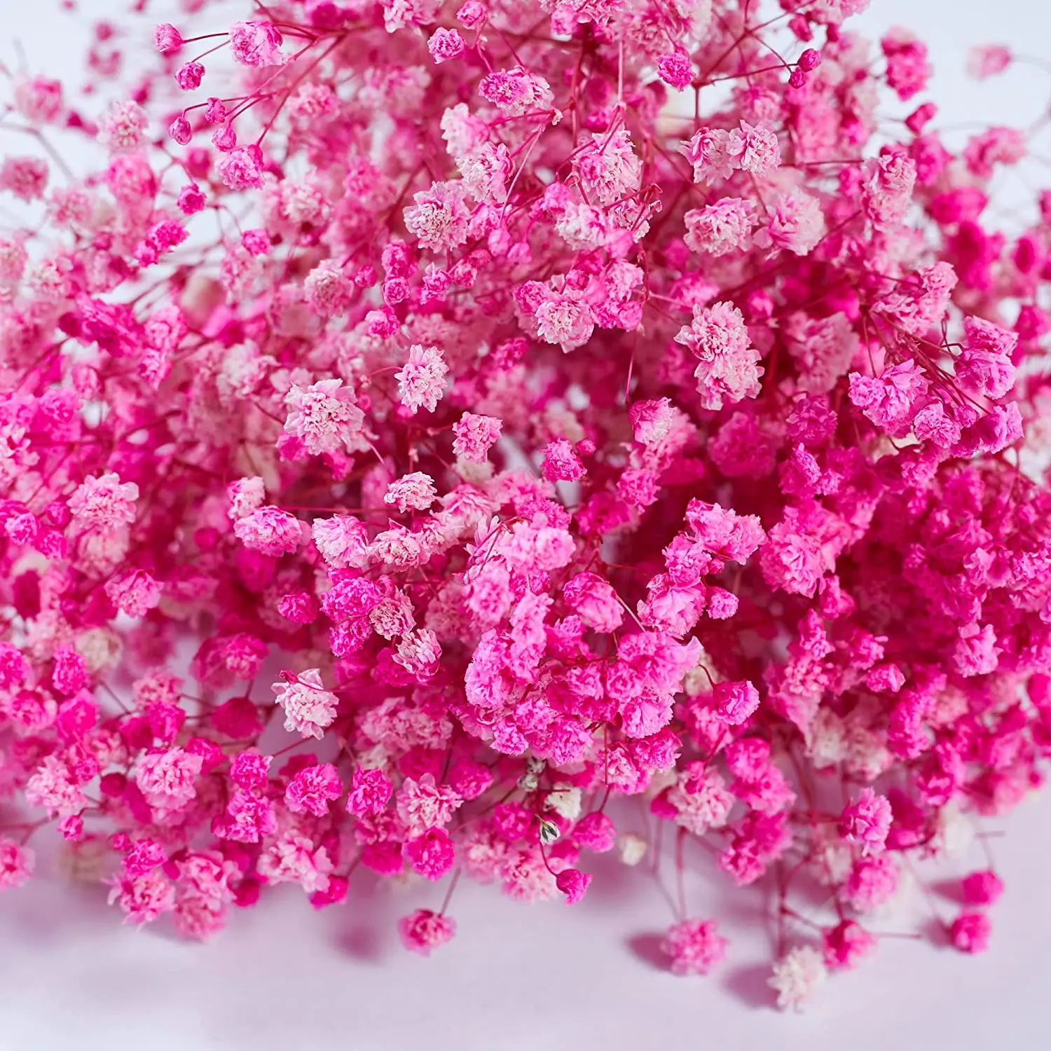 

Pink Baby's Breath Dried Flowers,Christmas and Halloween,Vase Arrangements,Home Decor,Photo Props,Parties,100% Natural,DIY Decor