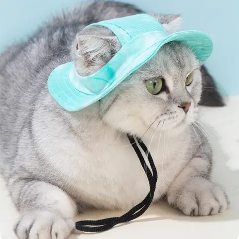 6 best sales पीले कुत्ते के कान - №6