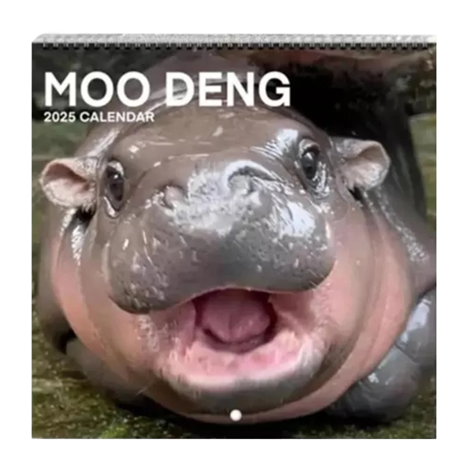 Moo Deng-Hippo 2025 kalendarz gruby papier 12-miesięczny kalendarz ścienny mały notatnik kalendarz obecny wystrój domu kalendarz ścienny