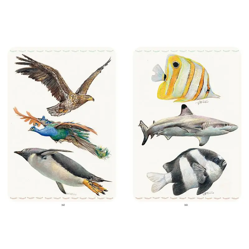 Colorido Chumbo Animais Quadrinhos, Basic Copy Picture Book, Iniciantes Textbook, Textbook Art, Iniciantes, Introdução, Chumbo Cor, 100 Casos