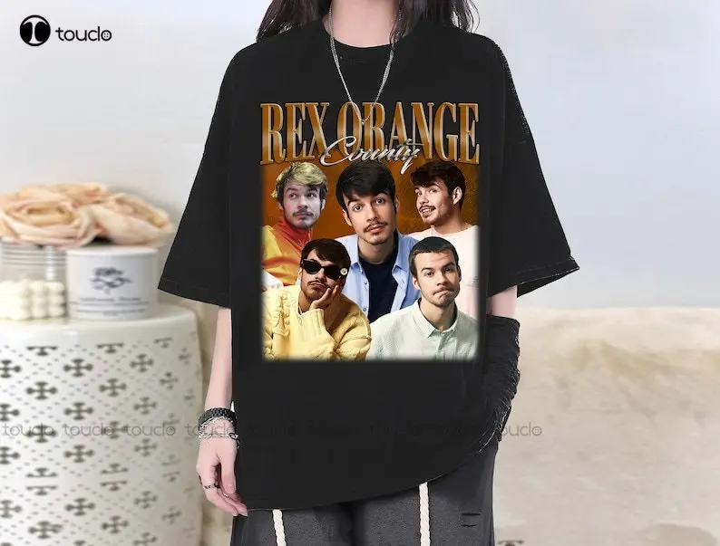 Rex Orange County T-Shirt, Rex Orange Tee,  Rex Orange Vintage T-Shirt, Retro T-Shirt, Movie T-Shirt