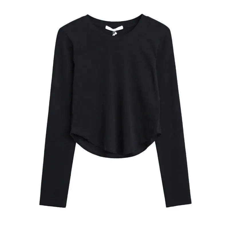 Ultra Soft Double-sided Velvet Arc Short Warm Base Shirt Autumn Winter Korean Style New Versatile Slimming Flocking Top