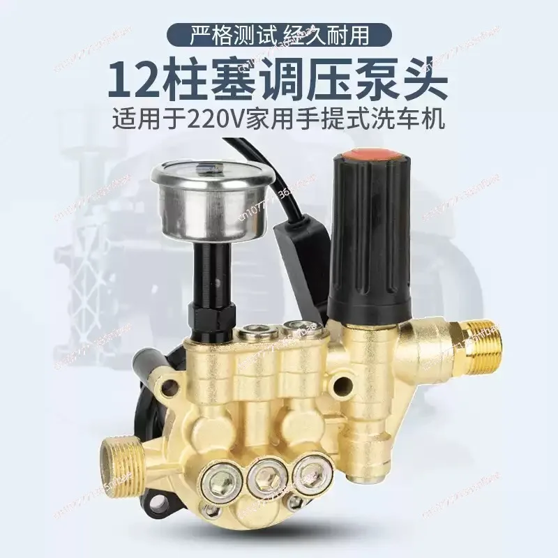 

12-Pillar Pressure Regulating Household Portable Car Washing Machine Pump Head Assembly Accessories
