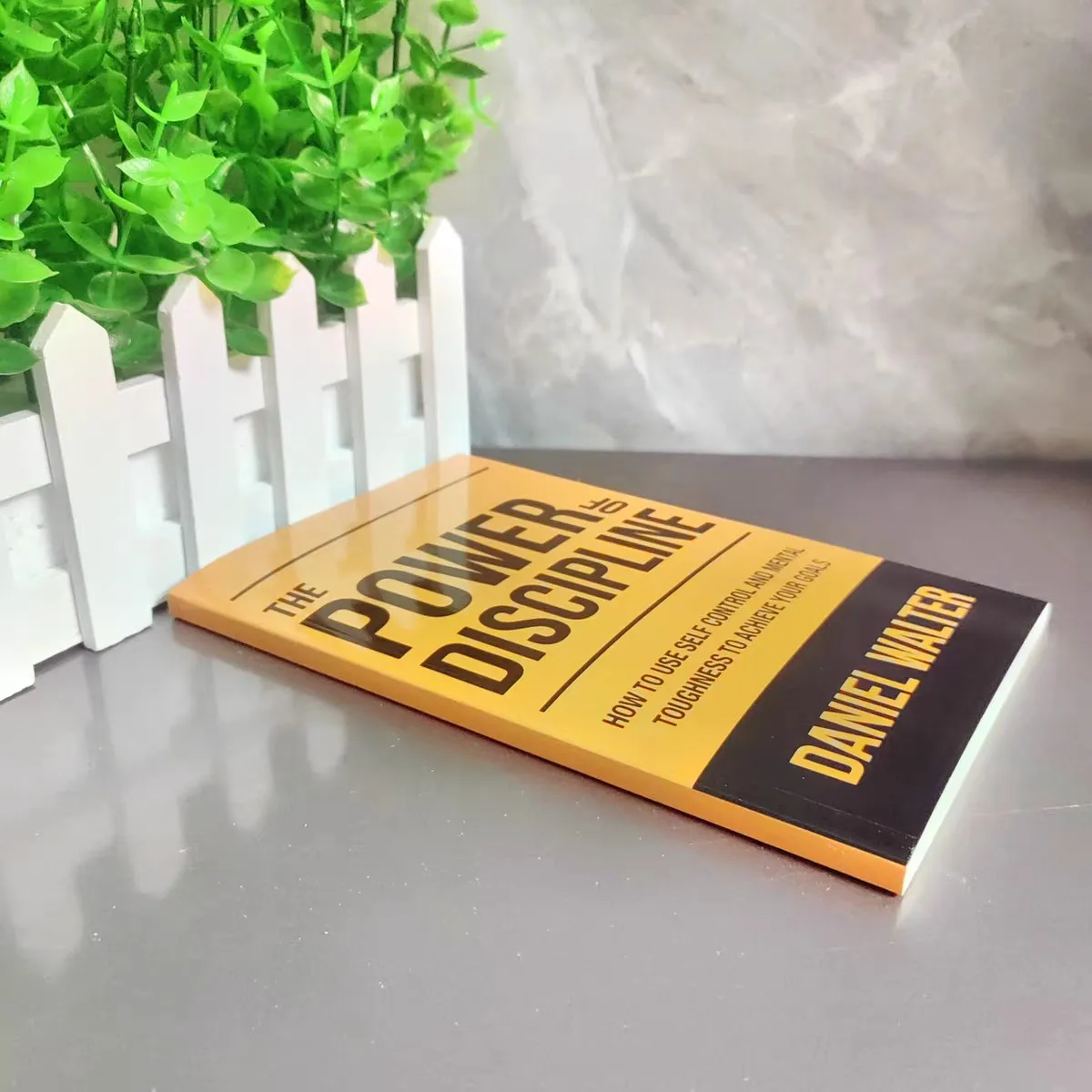 O Poder da Disciplina: Como usar o autopole e a resistência mental para atingir seus objetivos