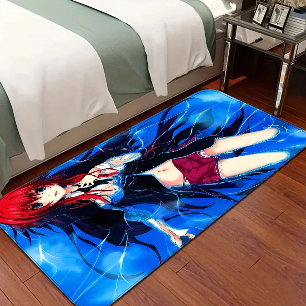 Anime High School DxD Door Mat Cheaper Anti-slip Modern Living Room Balcony Printed Bedside Mats