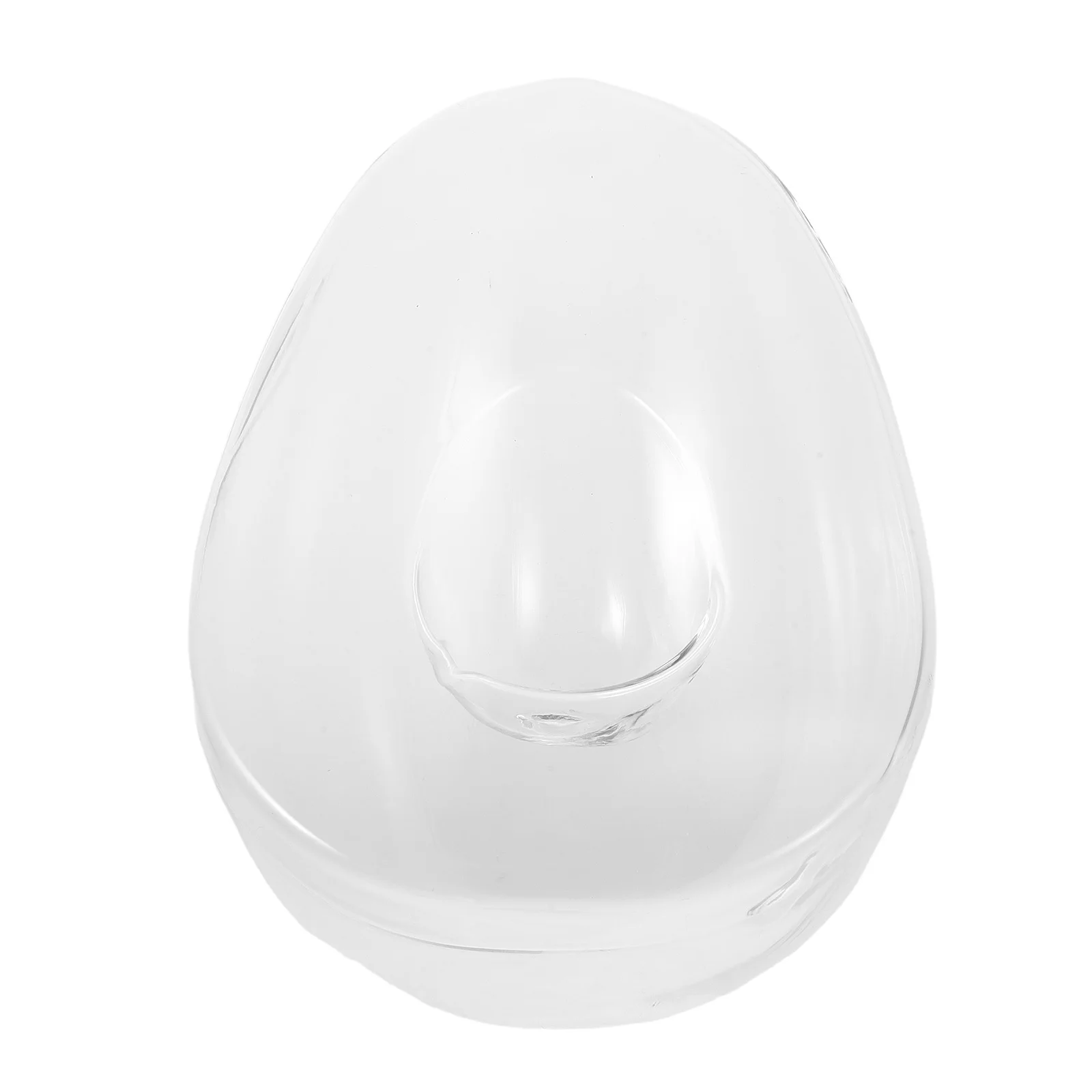 

Glass Avocado Plant Vase Clear Hydroponics Container for Water Plants Succulents Cuttings Avocado Growing Holder Tabletop