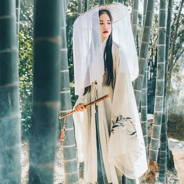 Costumi della dinastia Qing di danza cinese delle donne di Hanfu Costume tradizionale cinese antico di prestazione della fata della fase del vestito tradizionale cinese di Hanfu