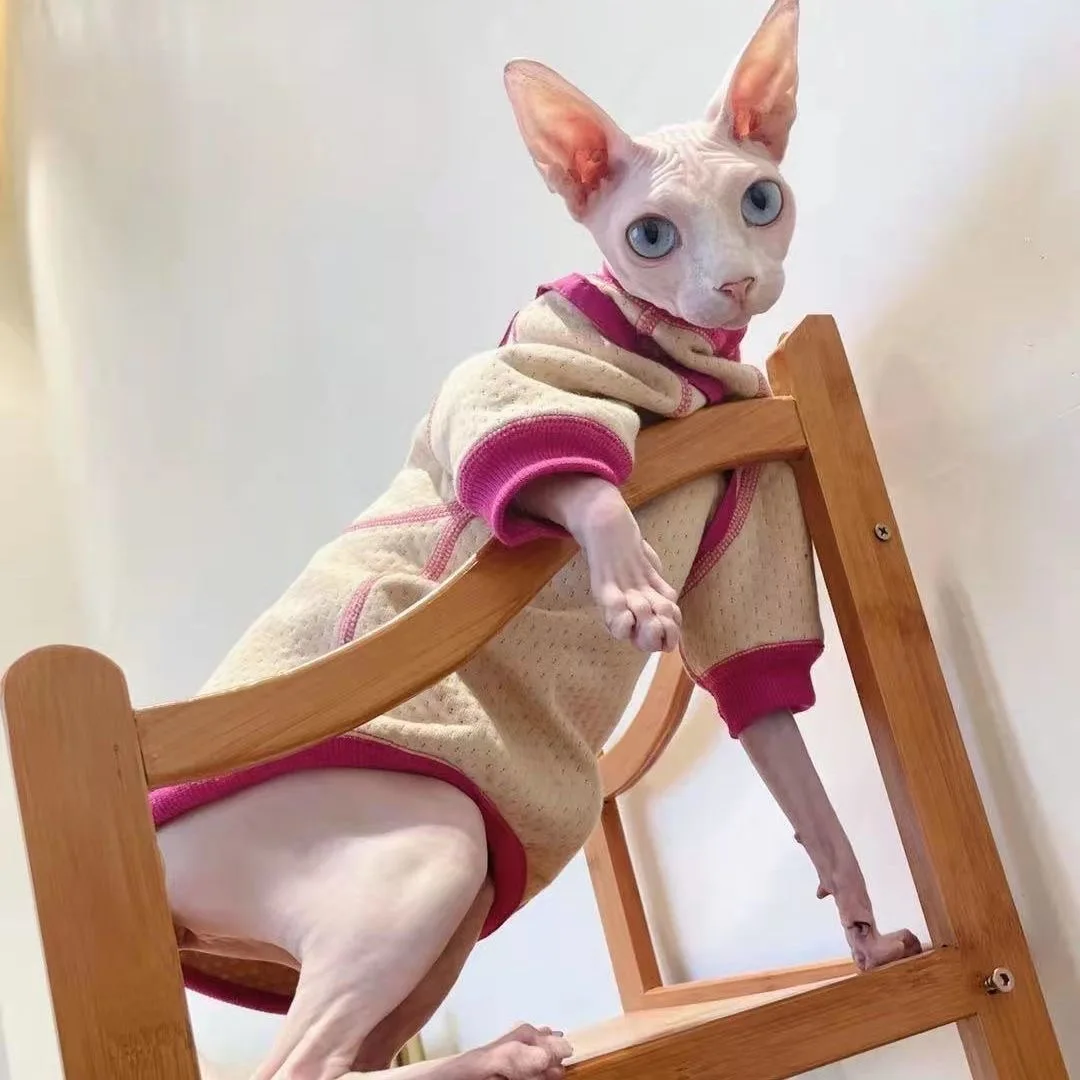 Casaco pelado quente para gato Sphynx, elegante casaco de inverno confortável, suéter grosso com bolso para gatinhos, roupas para inverno