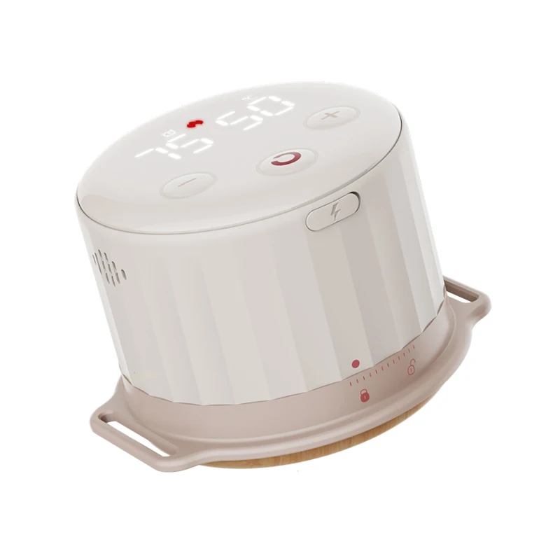 Scatola Moxa per Moxibustione popolare per l'assistenza sanitaria con quattro marce per regolare la temperatura per Moxibustione Stick Moxa