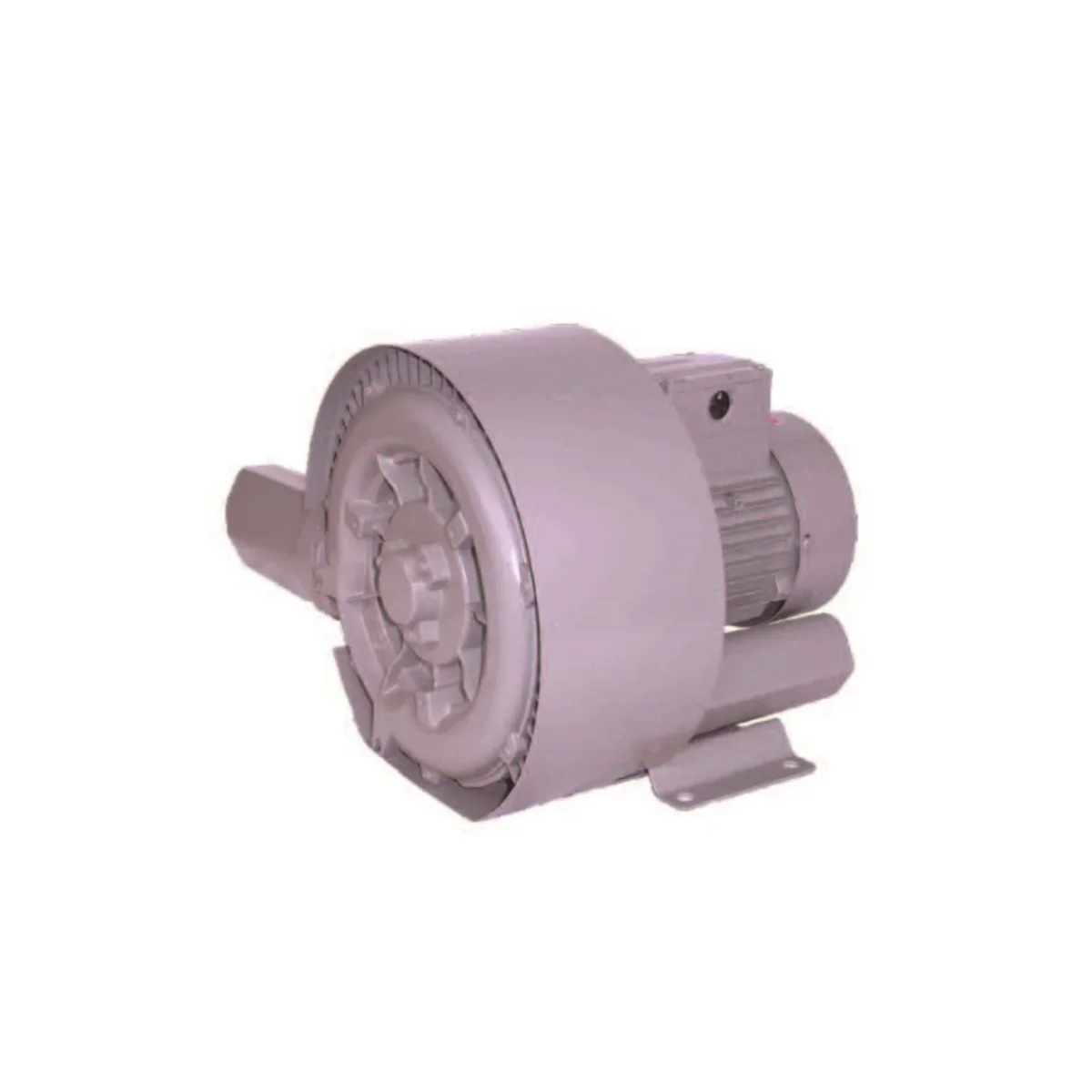 

2025 Reliable Taiwan Brand High Pressure Ring Blowers Dust Removing Equipment For Home Use