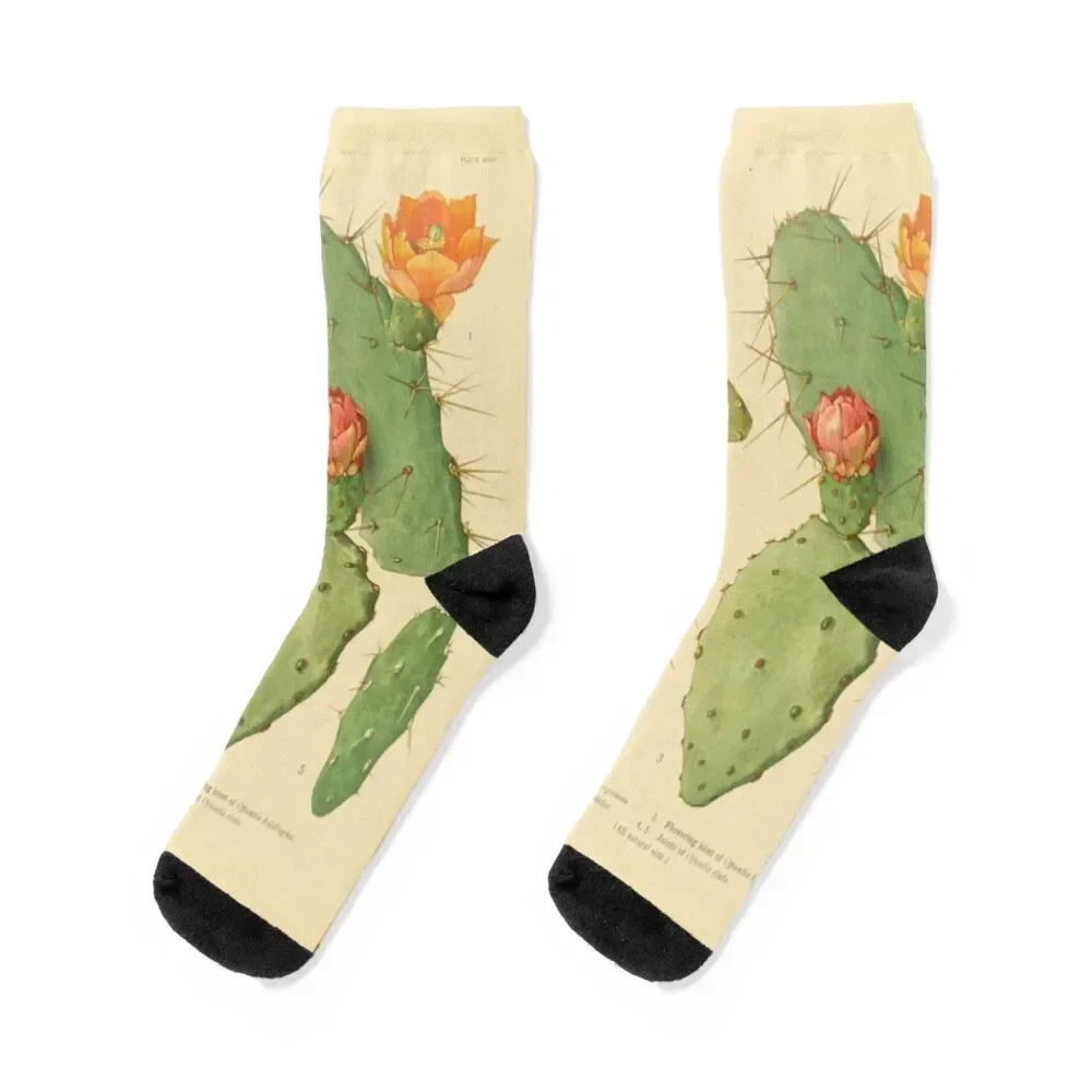 Prickly Pear Cactus Socks moving stockings short men cotton high quality cycling Boy Child Socks Women's