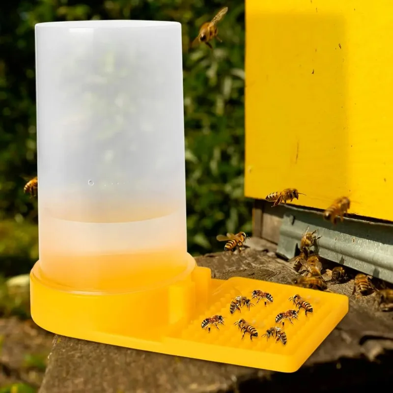 Plastic Bee Feeder Water Tank Integrated Drinking Station for Hive Anti Drowning Raise Points Design Transparent Beekeeping Tool