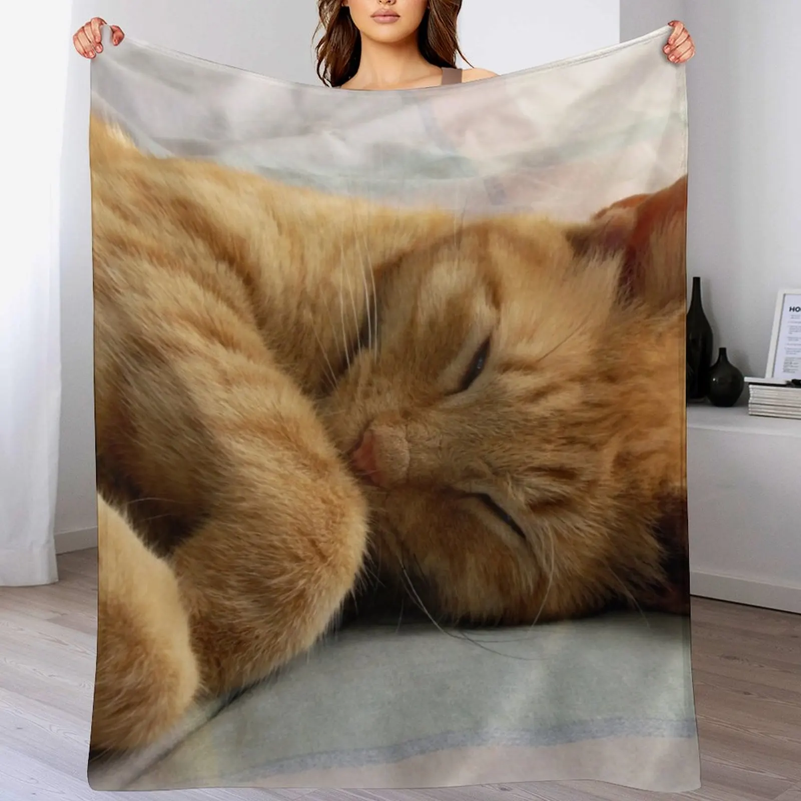 Ginger Cat Sleeping Throw Blanket Soft Plush Plaid Soft Plaid for winter Blankets