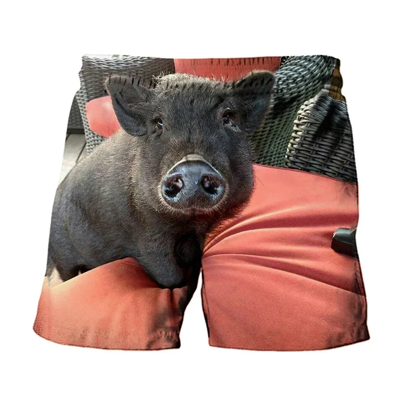 New 3D Printing Funny Pig Beach Shorts Men Casual Elastic Loose Surf Board Shorts Swimming Trunks Cool Street Short Fallow Pants