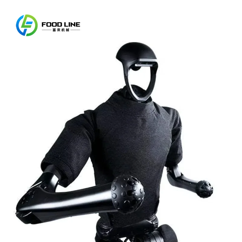 Humanoid Robot Companion Intelligent Voice Control Remote Sensing Interactive Programming Toy Plastic customized AI
