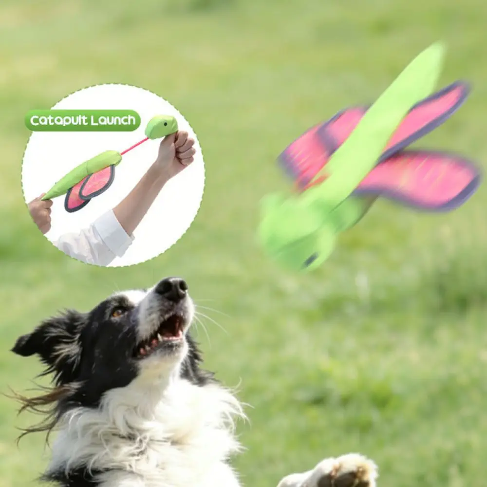 Cat Chase Toy Flying Insect Launcher Indoor Activity Training Game Pet Interactive Tool Sounding Funny Exercise Stick