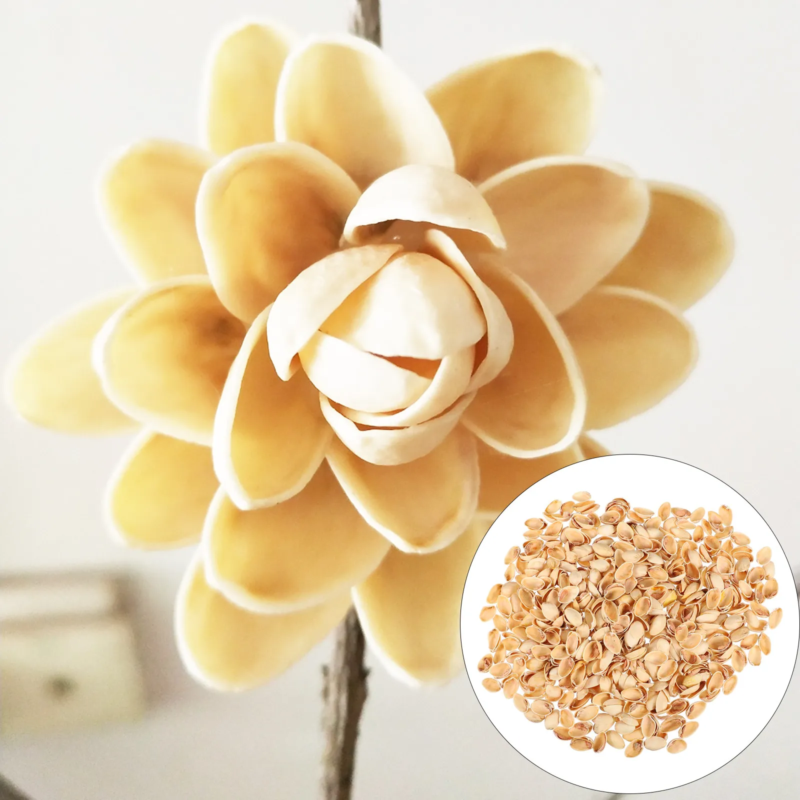 

1 Bag DIY Craft Pistachio Shells Creative Handicraft Material Kids Arts Crafting Supplies Decorative Painting DIY Materials