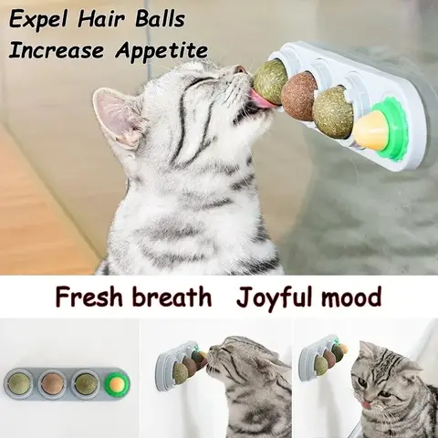 6 best sales कटनीप बॉल दीवार - №6