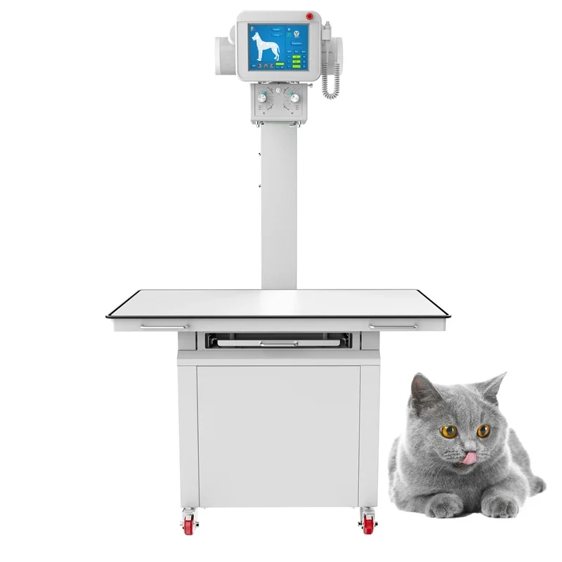 Fixed Pet Small Animals X-ray Machine Veterinary Dr 32KW High Frequency Veterinary X-ray Machine