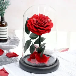 Fresh Forever Rose Preserved Real Flower for women,girlfriend,Mum birthdays Wedding  Party Decoration  Christmas Day Gift in box