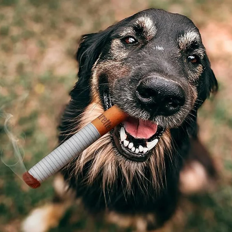 

Dog Toys Cigarettes Bite Resistant Grinding Teeth Sound Making Plush Pet Toys Pet Products Dog Accessories
