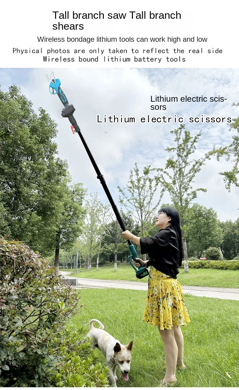 6-Inch Electric Chain Saw, 2.5cm Electric Pruning Shears, 1.7m Telescopic Extension Rod Asta Telescopica Per Potatura A Batteria