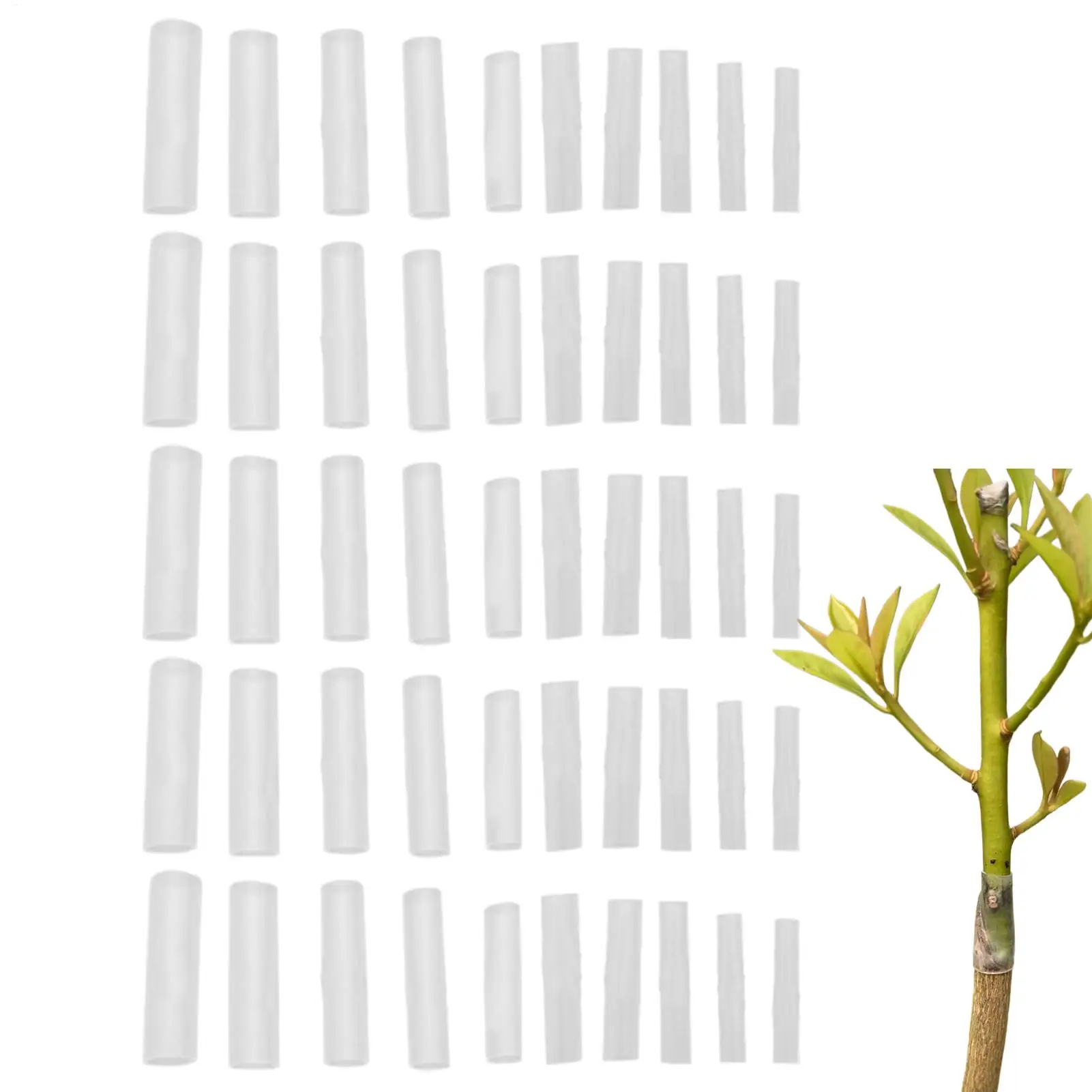 

50 шт., силиконовые рукава для прививки, силиконовый щит, инструмент для прививки фруктовых деревьев для садовых растений, сельскохозяйственных садовников, цветочных 3-7,5 мм