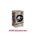 GV03-Random one
