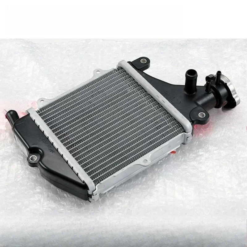 Scooter Water Tank Radiator Assembly Accessories Suitable for  San Yang FIDDLE125/150 Fit 3/4/5