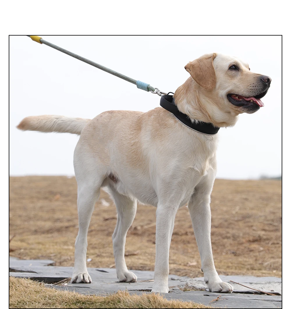 Taktisches Hundehalsband, verstellbares Hundehalsband für mittelgroße und große Hunde, Golden Retriever-Halsband mit Kontrollgriff, hochwertige Schnalle. – Detail 16