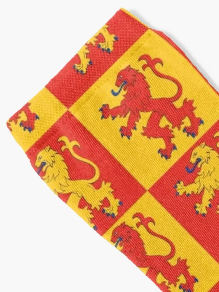 Owain Glyndwr Skarpetki retro niestandardowe sportowe kostki prezenty świąteczne Designerskie skarpetki męskie Damskie