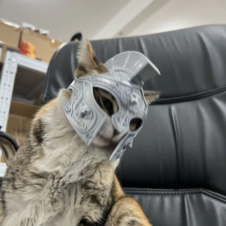 ZHAYA Viking Roman Helmet Cat Mask Funny Creative Full Head Cover Cosplay Costume for Cats Dogs Photo Prop Adjustable Soft