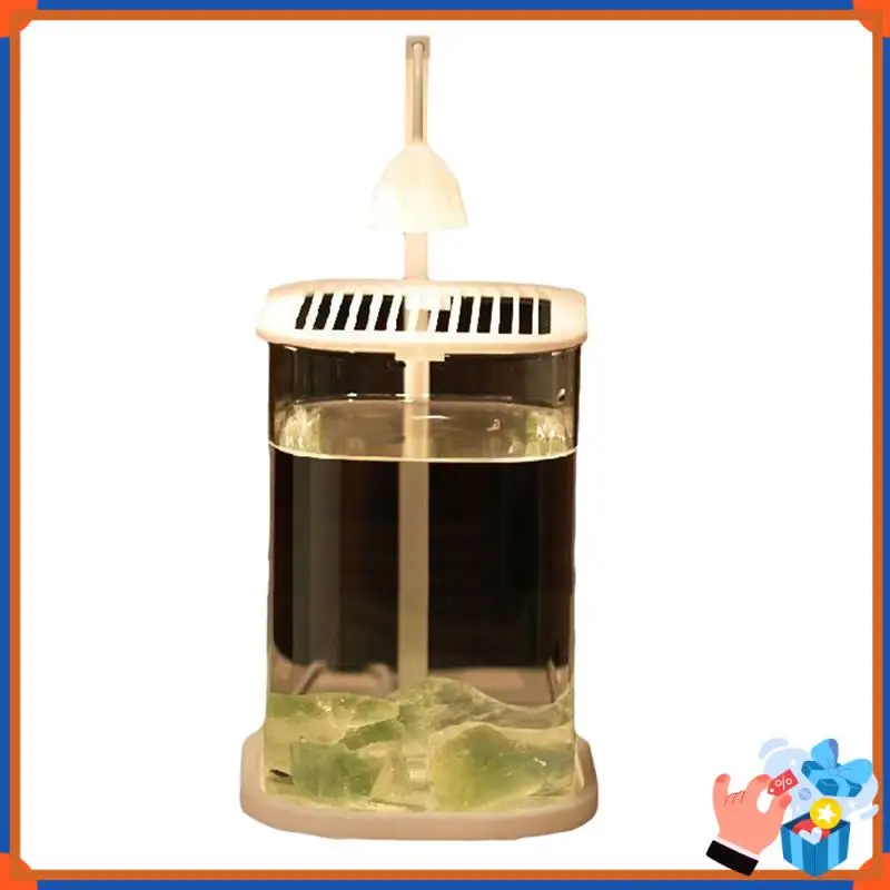 

Compact Mini Desktop Glass Aquarium Fish Tank With Colored Crystal LED Light Desktop Ornaments High-End Lamp Green Crystal Stone