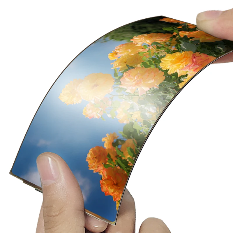 HD 720X1520 MIPI Interface 3D Cover Glass 5.1 Inch Flexible AMOLED Panel Display