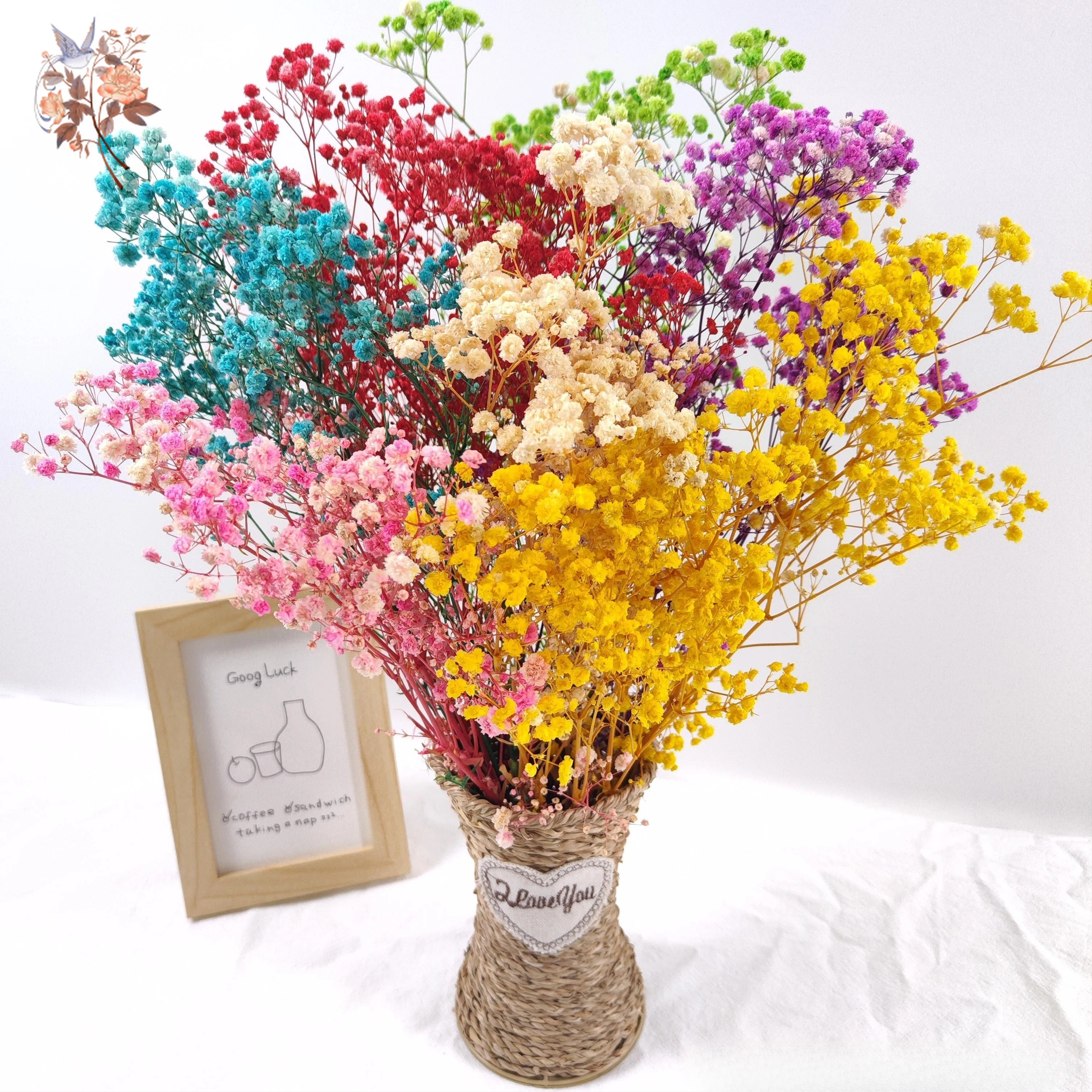 70G Dried Babys Bre… - image