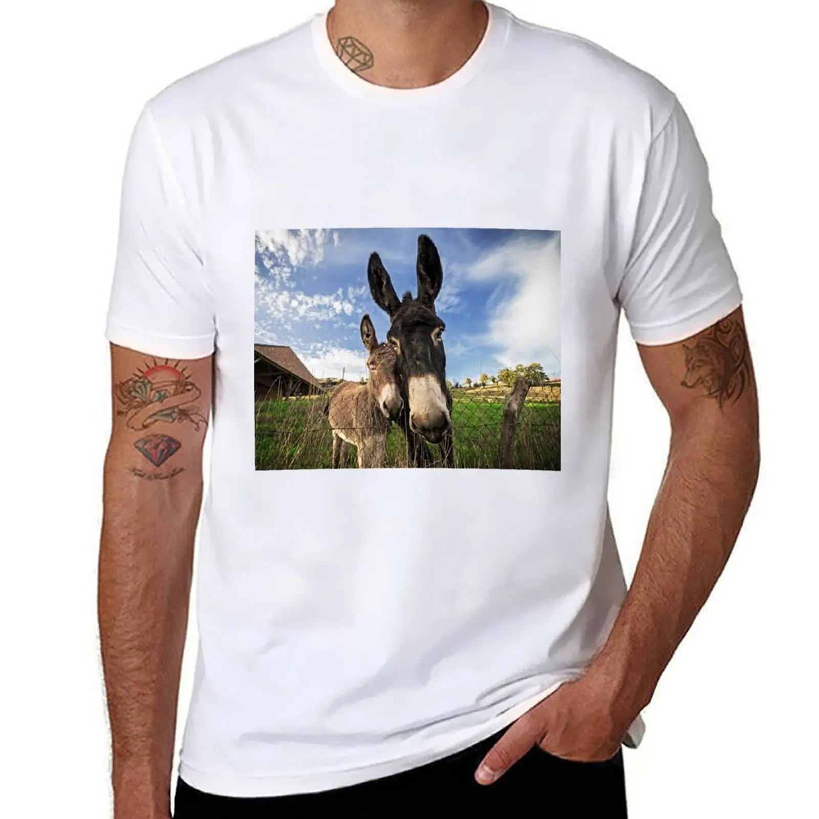 

Donkeys! T-Shirt t shirt man casual t shirts for man graphic vintage T-Shirt