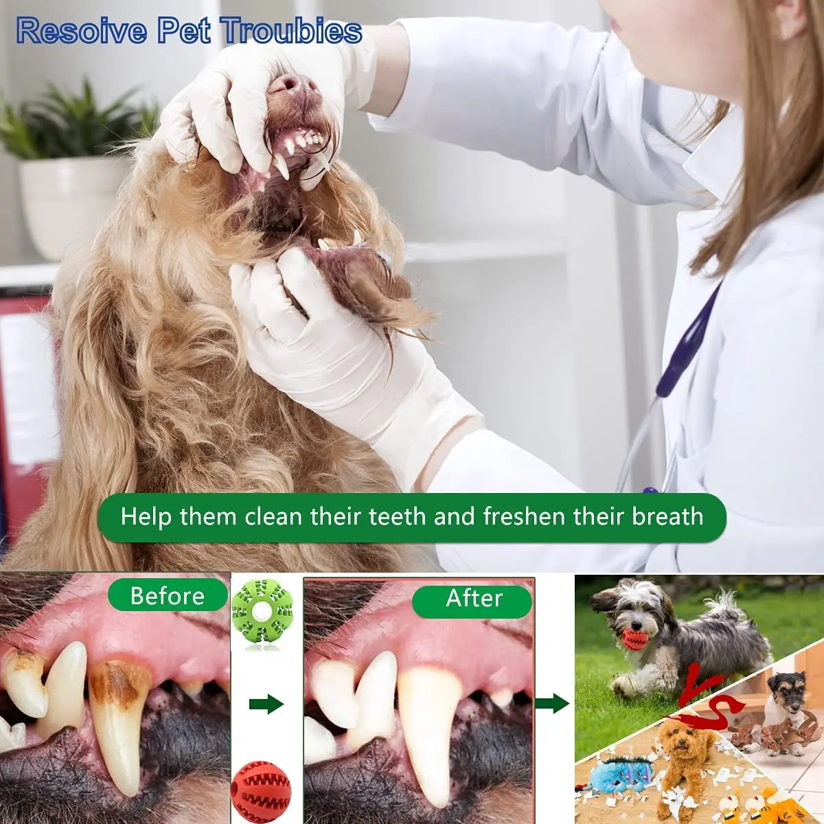 5cm gomma naturale Pet Dog Toys giocattoli da masticare per cani pulizia dei denti trattare la palla palla elastica interattiva Extra-dura per