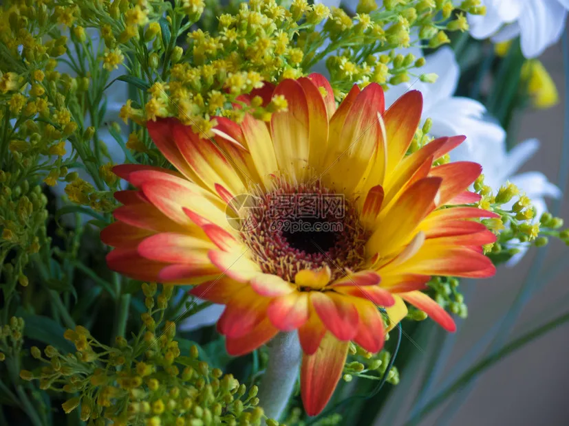 

1PC Tamiya Mini 4WD Tools 60-72mm Axle Tester 1.99mm Hexagonal Shaft Detector Axis Inspector Checker Match Tire Installer DIY